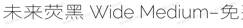 未来荧黑 Wide Medium字体转换